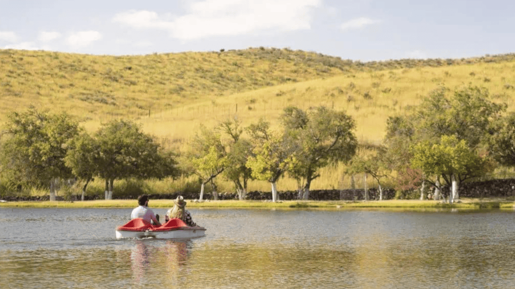Couple on paddleboats on Cibolo lake