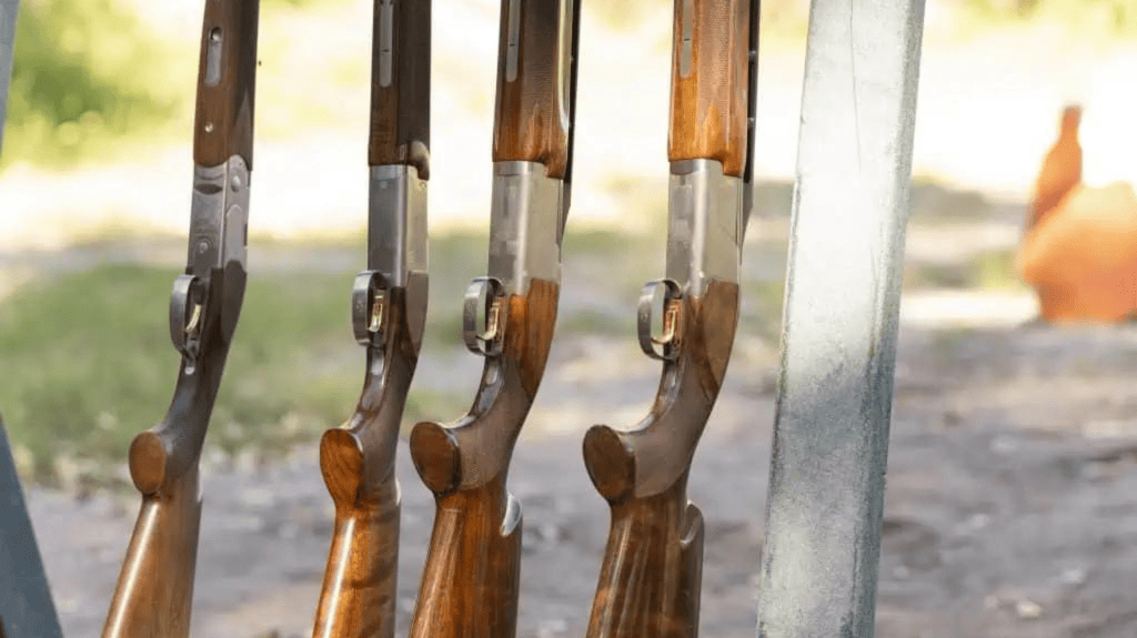 Cibolo trap shooting shotguns