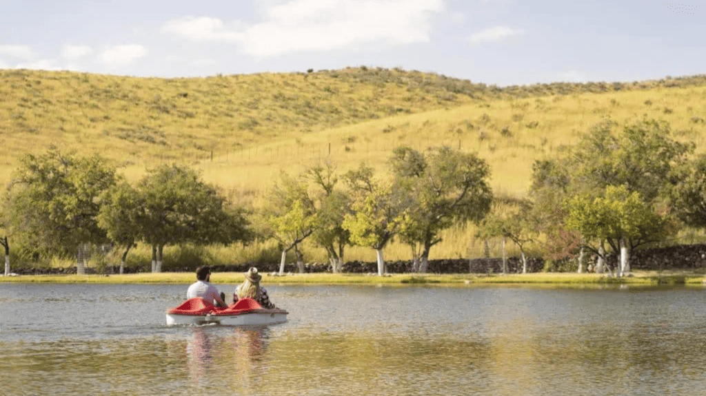Couple on paddleboats on Cibolo lake