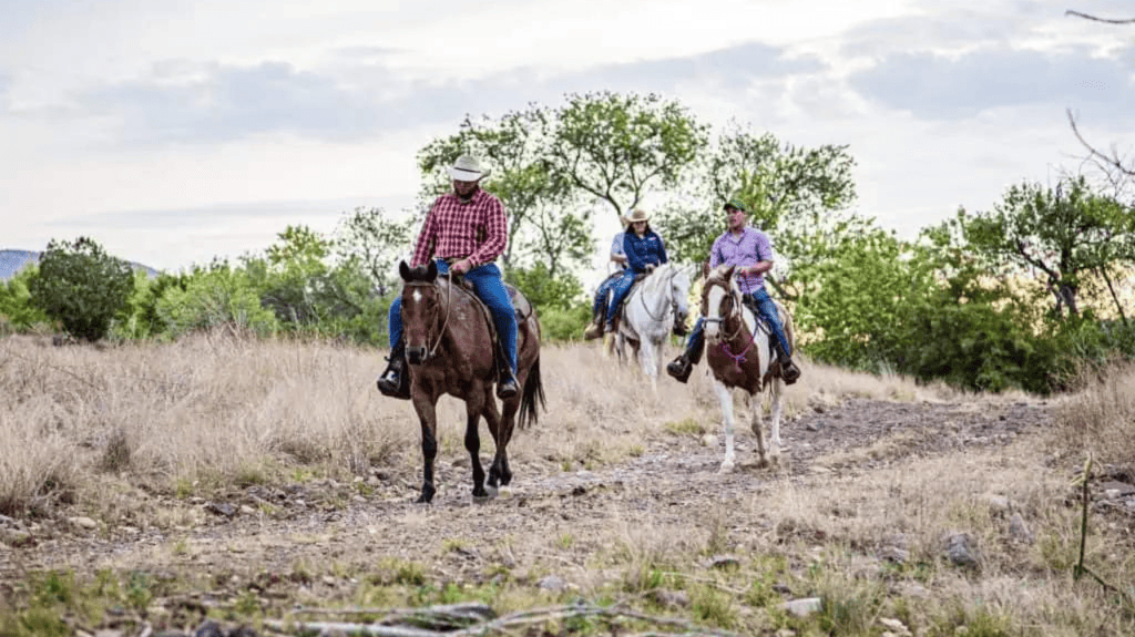 Cibolo horseback riding